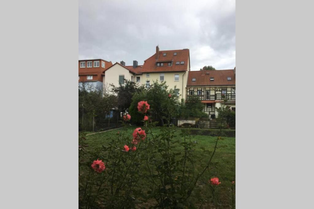 4 Sterne , 65 Qm Quedlinburg